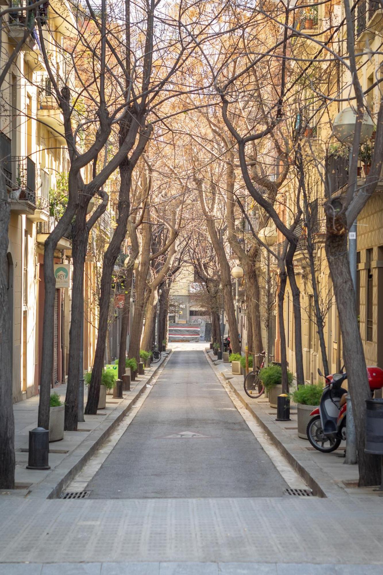 Art House Sagrada Familia Apartment บาร์เซโลนา ภายนอก รูปภาพ